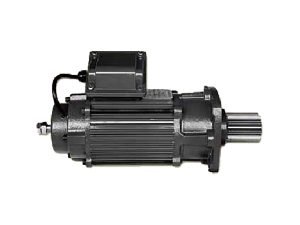 Gear Motor – Open Pinion Type
