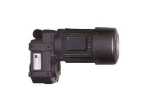 Gear Motor – Hollow Shaft Type